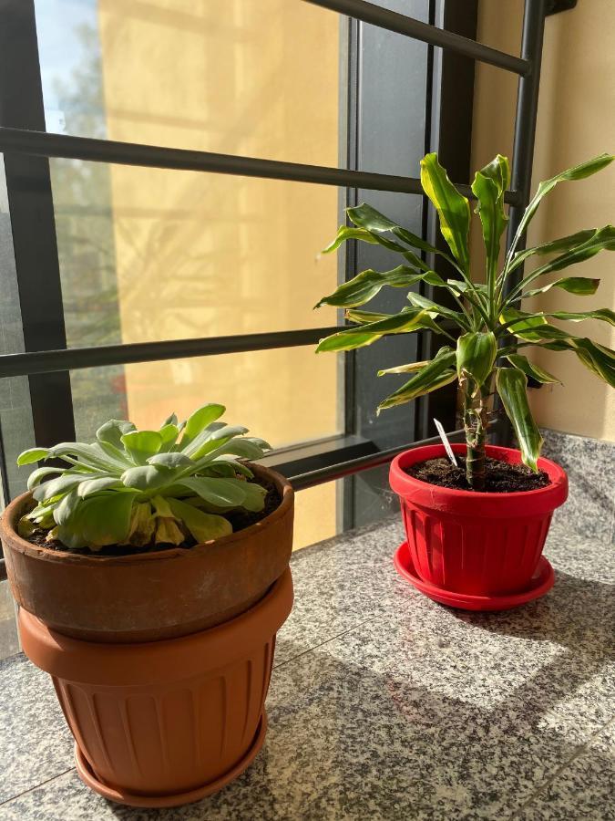 Appartamento Eliana Асти Экстерьер фото